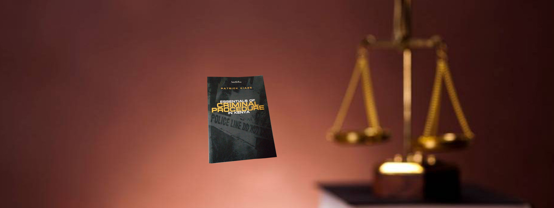 Criminal Litigation  
